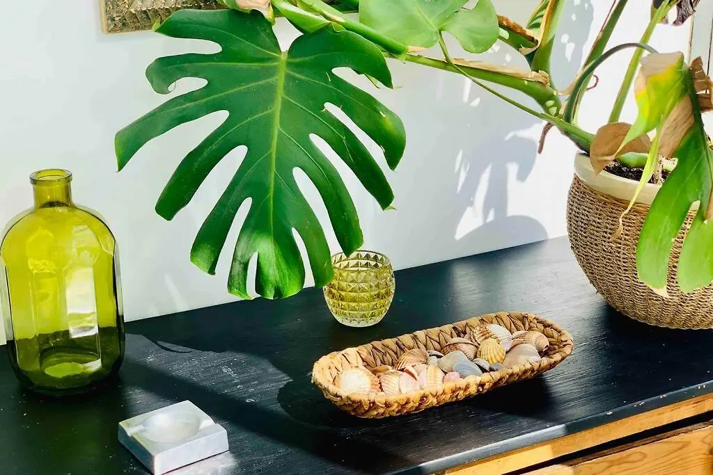 Begonia City Center Apartment 230 By Namaste Elite Torremolinos