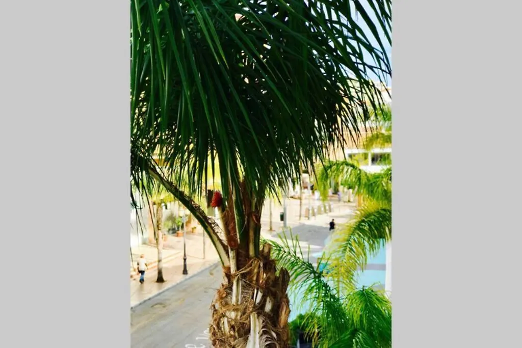 Begonia City Center Apartment 230 By Namaste Elite Torremolinos Spain